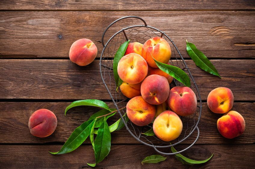 Freeze-dried peaches taste almost the same as fresh peaches.