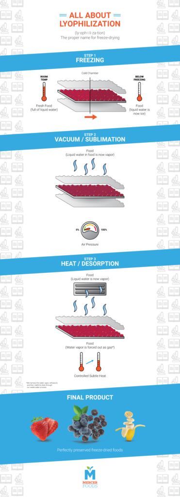 Learn about the complex process of freeze-drying with our easy-to-understand infographic. 