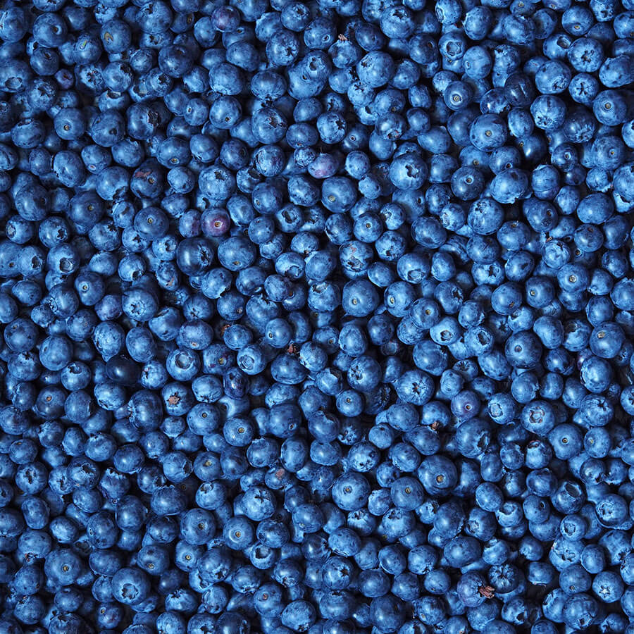 Blueberries, Wild