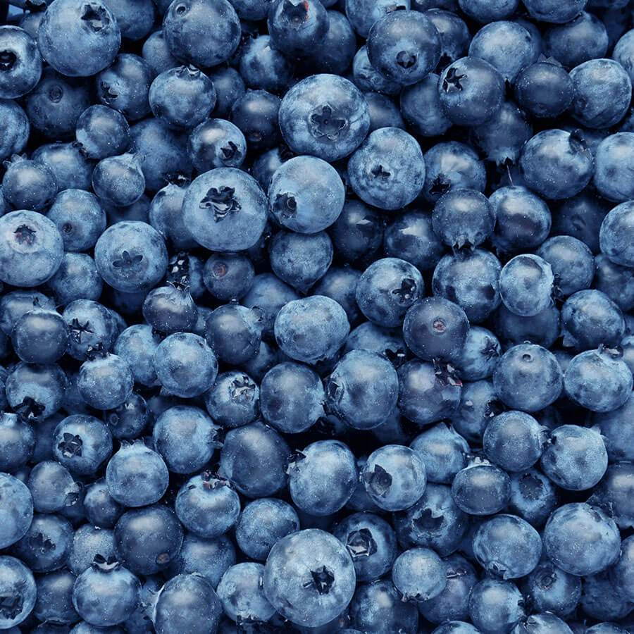 Blueberries, Cultivated